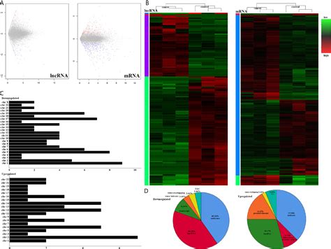 Frontiers Using LncRNA Sequencing To Reveal A Putative LncRNA MRNA