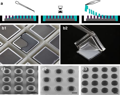 Fabrication Of The Pdms Mask Using Microcontainers On A Si Substrate