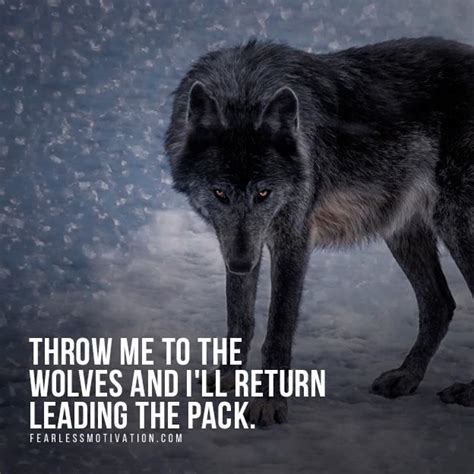 24 best images about Wolf Quotes | Motivational Wolf Quote Images ...