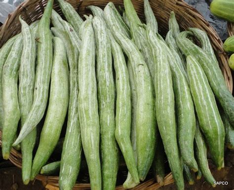 Sahaja Aharam Snake Gourd Potlakaya