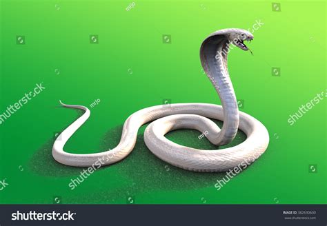 3d Albino King Cobra Snake Isolated Stock Illustration 382630630