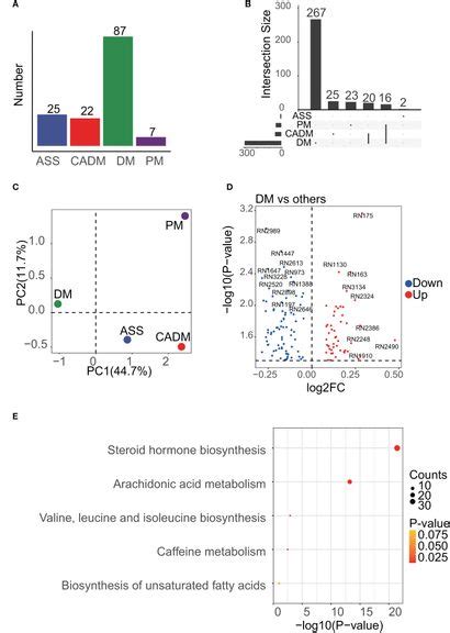 Frontiers Serum Metabolomic Analysis Reveals Disorder Of Steroid