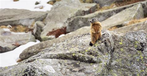 "Alan!... Alan!..." · Free Stock Photo