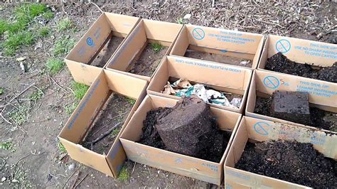 4 16 2020 Gardening In Cardboard Box Beds Youtube