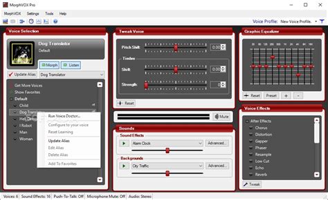 Morphvox pro best female settings - pearlaceto