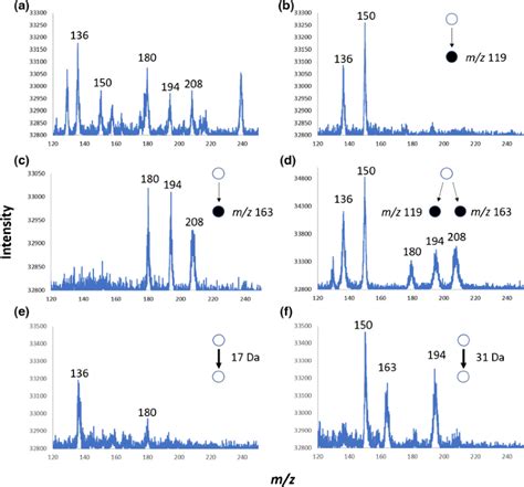 Implementation Of Precursor And Neutral Loss Scans On A Miniature Ion