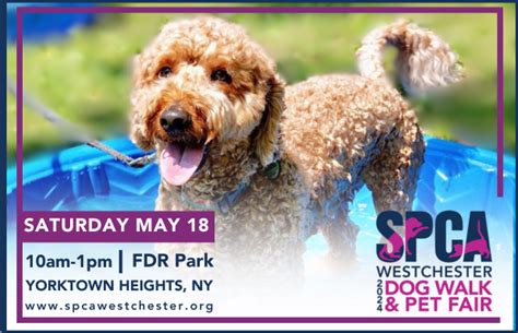 SPCA Events - SPCA Westchester, New York