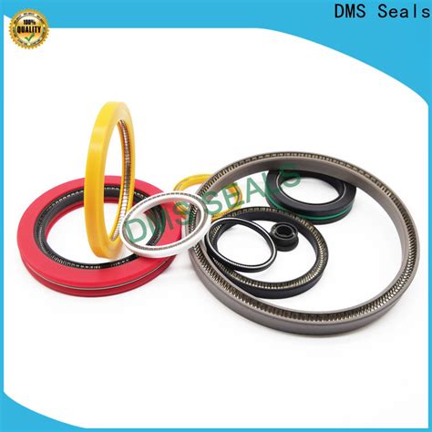 New Spring Loaded Double Lip Seal Manufacturer For Aviation Dms Seals