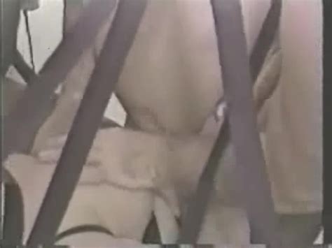 Fuck Fest Palm Beach Palm Beach Video Adult DVD Empire