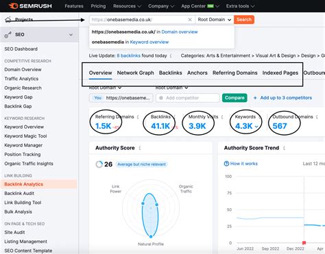 How To Check Your Website Backlinks Using Semrush