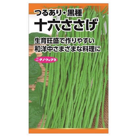 十六ささげ ササゲ つるありの特徴と育て方 苗木部の部室 〜苗木、育てよう〜 By 花ひろばオンライン