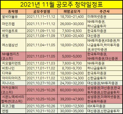 2021년 11월 공모주 청약일정 상장표 유용한 경제 꿀팁 상장 재무제표 항해