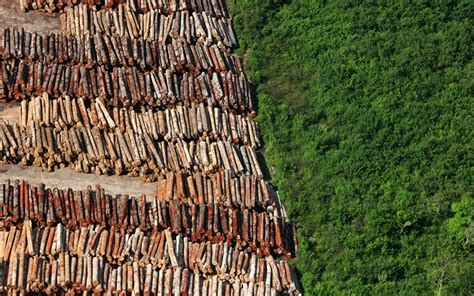 Opera O Identifica Reas De Mata Atl Ntica Desmatadas No Es Es Brasil