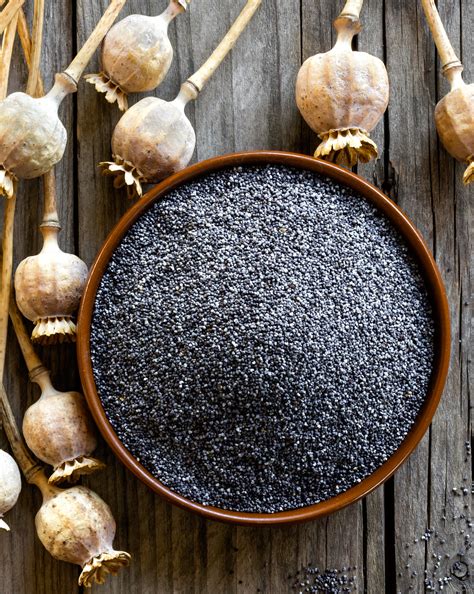 Как Выглядят Семена Мака Фото – Telegraph