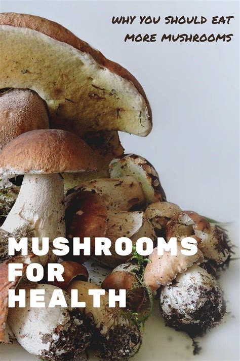 Mushrooms Aphrodisiac And Evidence Based Sexual Health Benefits Eat