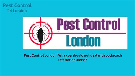 Pest Control London Why You Should Not Deal With Cockroach Infestation