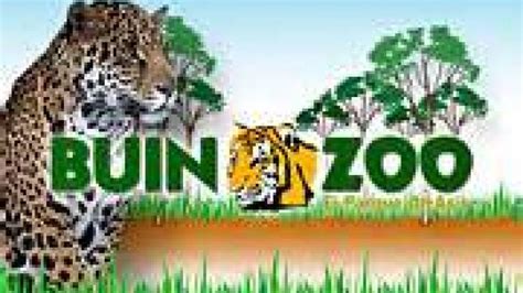 BUIN ZOO