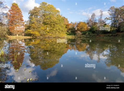 Autumn colour ar Castle Howard Arboretum Stock Photo - Alamy