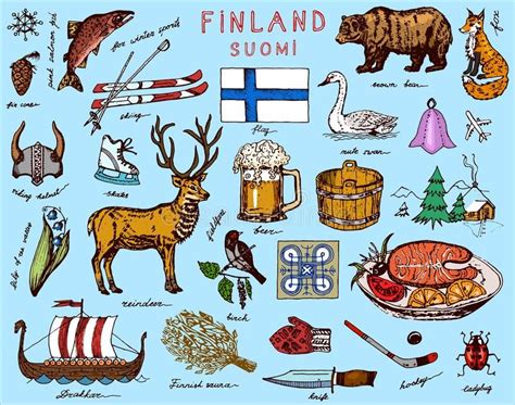 Symbols of Finland in vintage style. Doodle sketch with traditional signs. Scandinavian culture ...