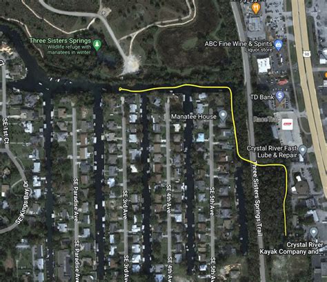 Manatees in Blue, Clear Water Springs? What mistake did I do & how to