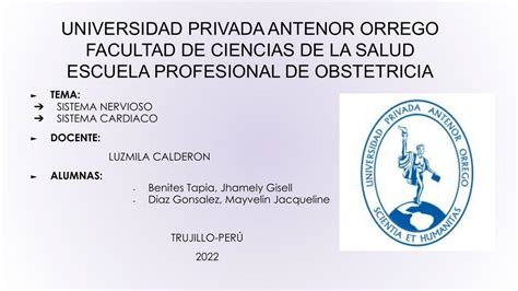 Sistema Nervioso Y Cardiovascular Henry Maldonado Guti Rrez Udocz