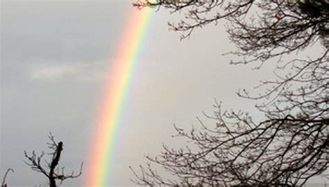 Ideas Sobre Proyectos De La Feria De Ciencias Del Arco Iris Ciencias