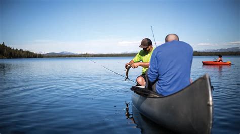 lake jackson fishing: top tips for successful angling