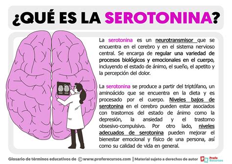 Qué es la Serotonina Definición de Serotonina