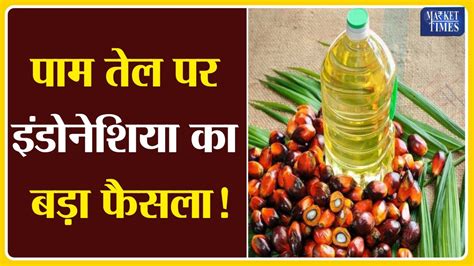 पाम तेल पर इंडोनेशिया का बड़ा फैसला Palmoil Oil Edibleoil Palm Oil Youtube