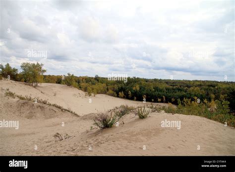 Sandbanks Provincial Park Stock Photo - Alamy