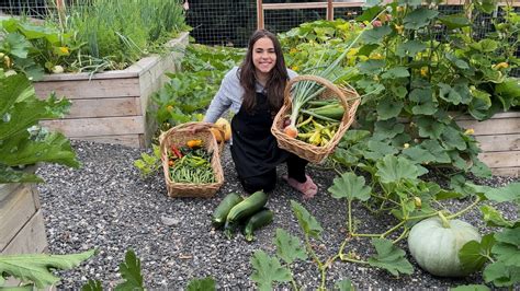 Full August Garden Tour And An Abundant Harvest Youtube