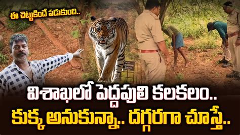 Tiger Halchal In Vizag Latest News