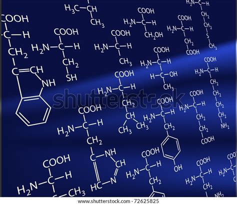 Amino Acids Life Basis Stock Vector Royalty Free 72625825 Shutterstock