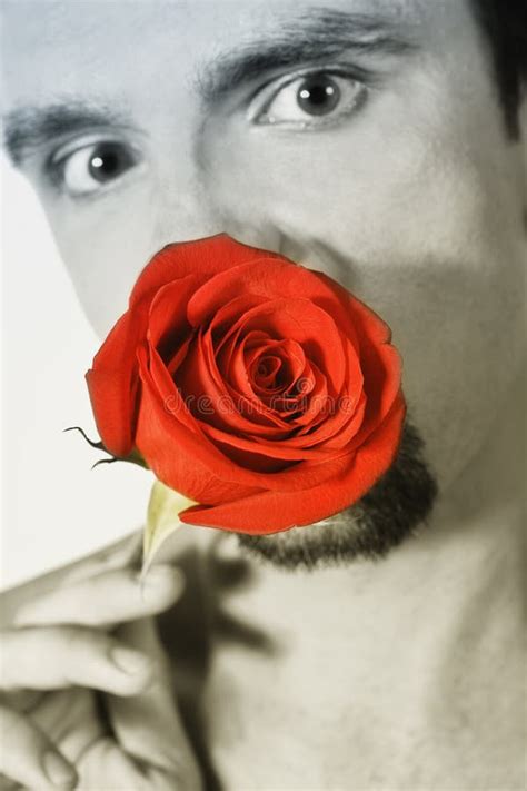 Young Man Holding A Red Rose Stock Photo Image Of Vertical Flirting