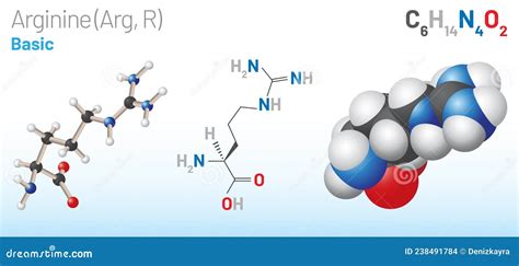 Arginine Arg R Amino Acid Molecule Chemical Formula C6h14n4o2