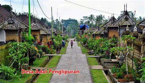 mengenal pemerintahan desa adat bali  aturannya dieditcom