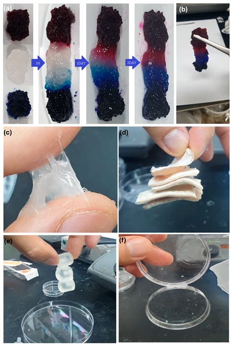 bioprintable  healing hyaluronic acid hydrogel  cysteamine