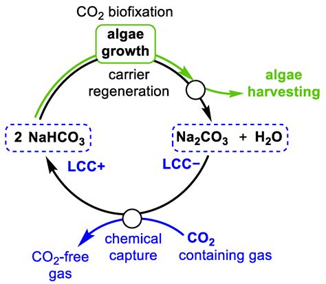 CO2 Gì Ra NaHCO3 Tìm Hiểu Phản Ứng và Ứng Dụng Thực Tế