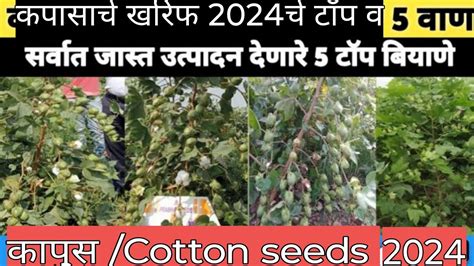 2024 टॉप 5 वाण खरिफ बियाणेकापूस वाणseedcotton Youtube