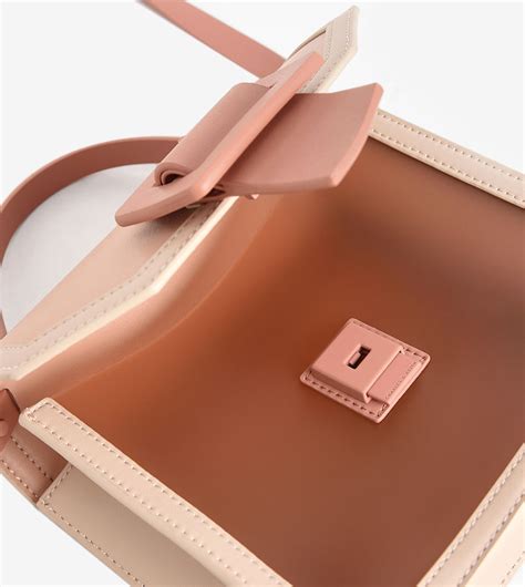 Buy Charles Keith See Through Effect Buckled Bag Nude In Nude 6thStreet Qatar