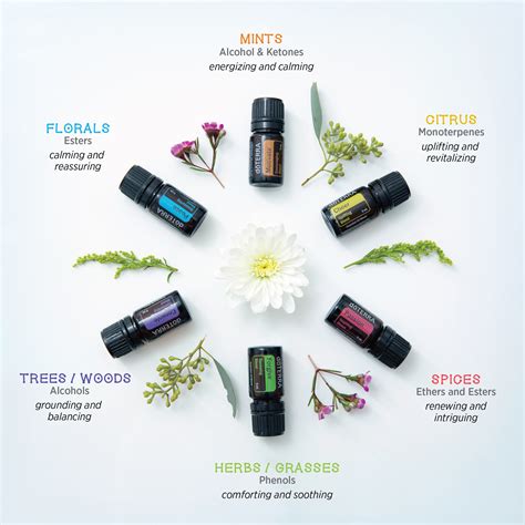 Essential Oil Uses: Aromatherapy | dōTERRA Essential Oils