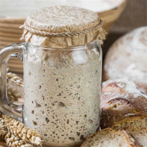 sourdough starter complete comfort foods