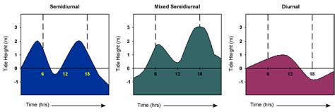 Biology Graphs: Tides