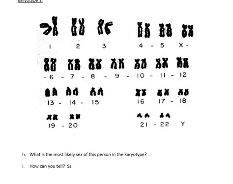 Solved H What Is The Most Likely Sex Of This Person In The Chegg