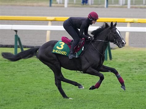 【競馬予想】giジャパンカップに挑む評判の外国馬――本気で勝ちに来たのはどの馬だ 2ページ目 Web Sportiva スポルティーバ