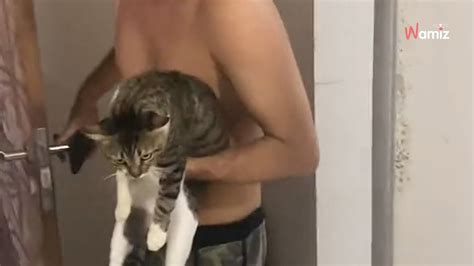 Video Dopo Una Serata Al Bar Rientra A Casa E Trova Il Gatto Ad