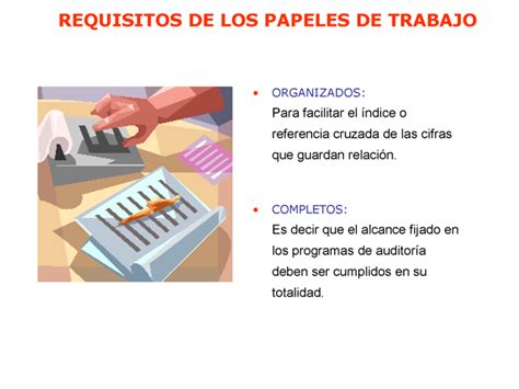 Organización De Los Papeles De Trabajo En La Auditoría Financiera