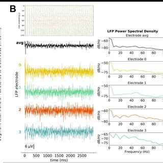 LFP recording and analysis. A) LFP signals (left) from 10 extracellular ... 