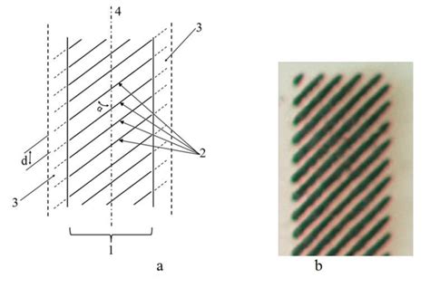 Raster Scan Method Of The Laser Beam In The Course Of Writing The