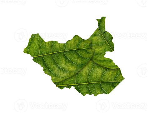 South Sudan Map Made Of Green Leaves Ecology Concept 46825525 PNG